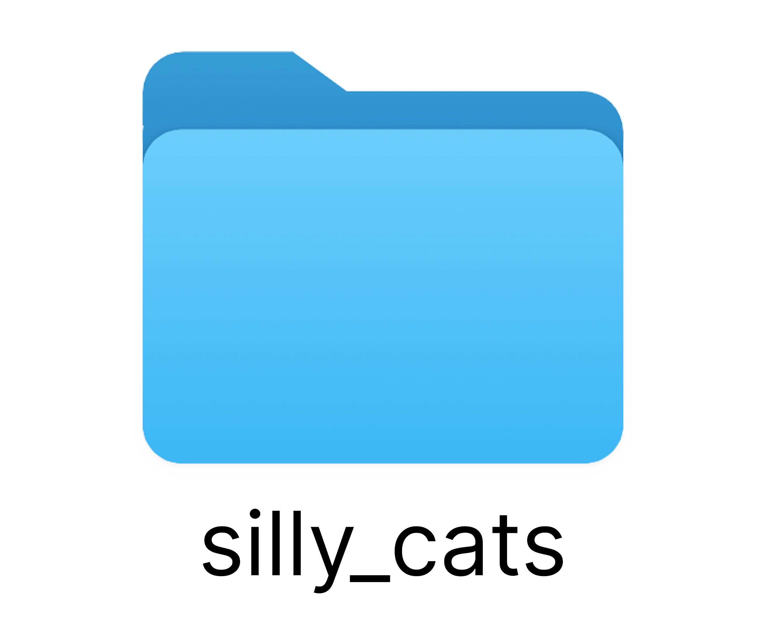 Describe your project