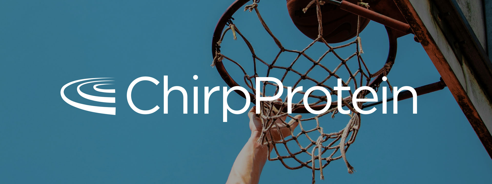 Describe your project