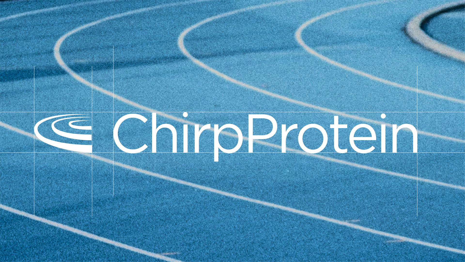 Describe your project