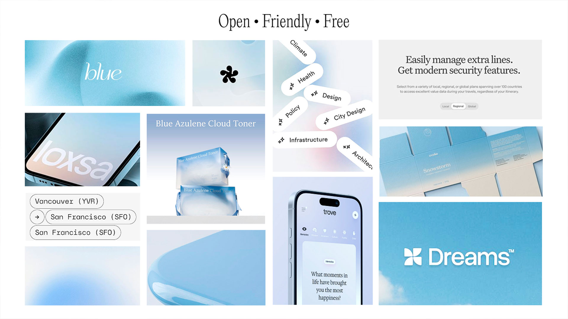 Describe your project