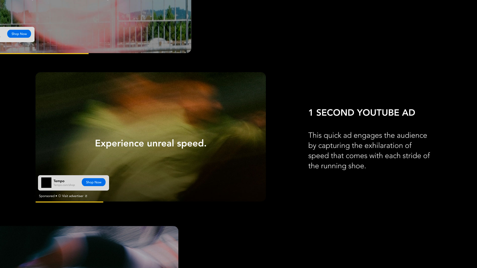 Describe your project