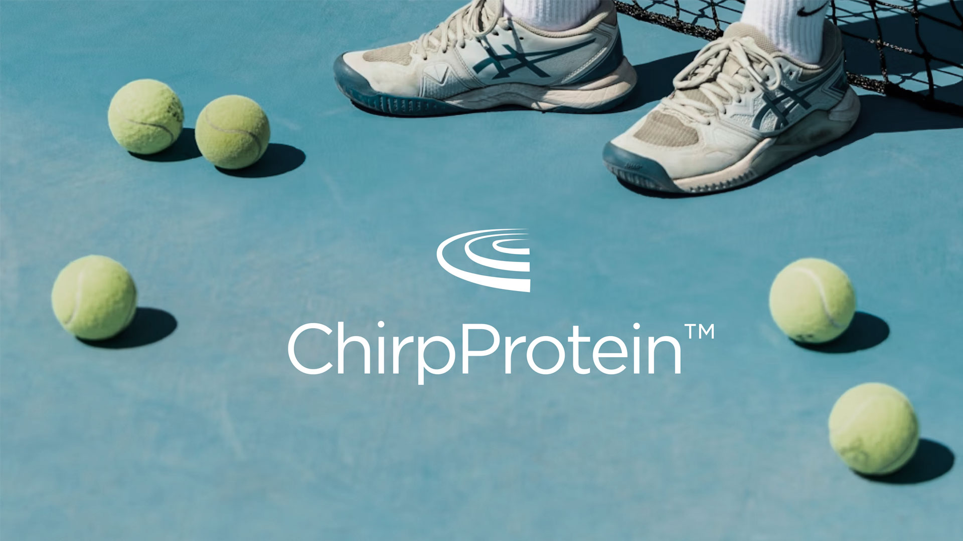 Describe your project