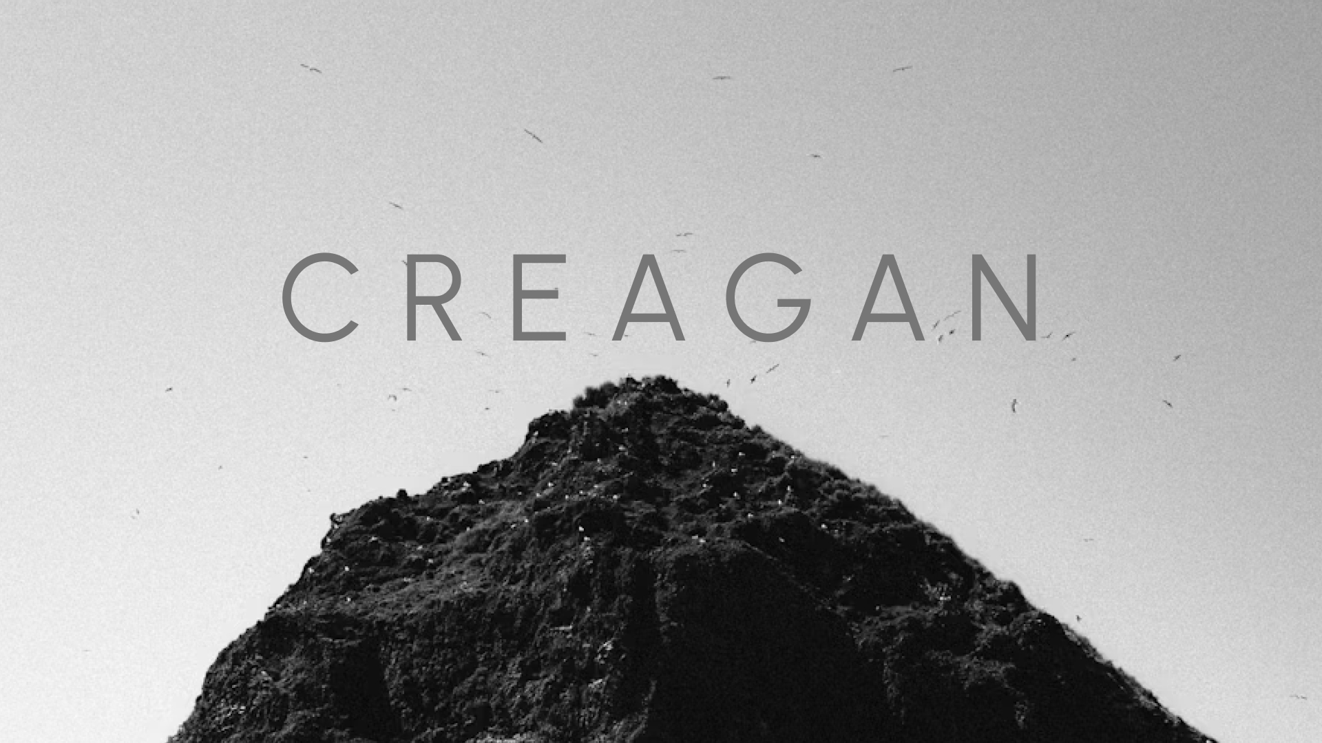 Describe your project